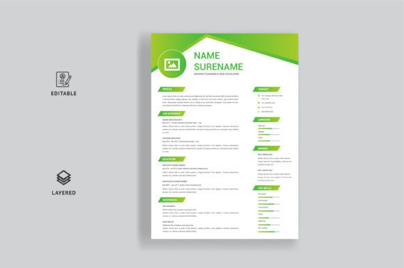 Download Professional Style Resume CV Template - Premium Resources